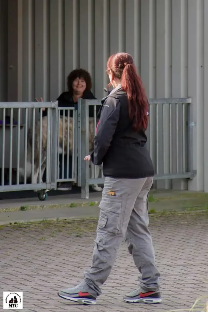 Kynologisvh Instructeur aan huis - Molosser Training - Dog Dimension
