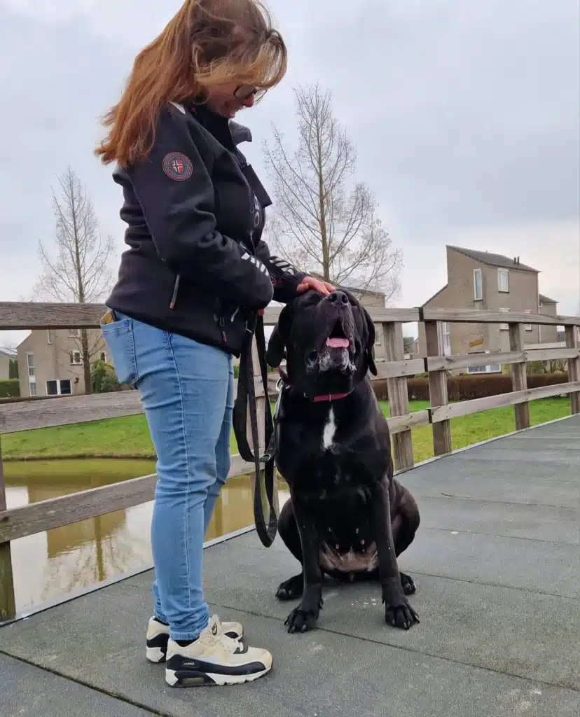 Dog Dimension hondenconsult voor honden met probleemgedrag.