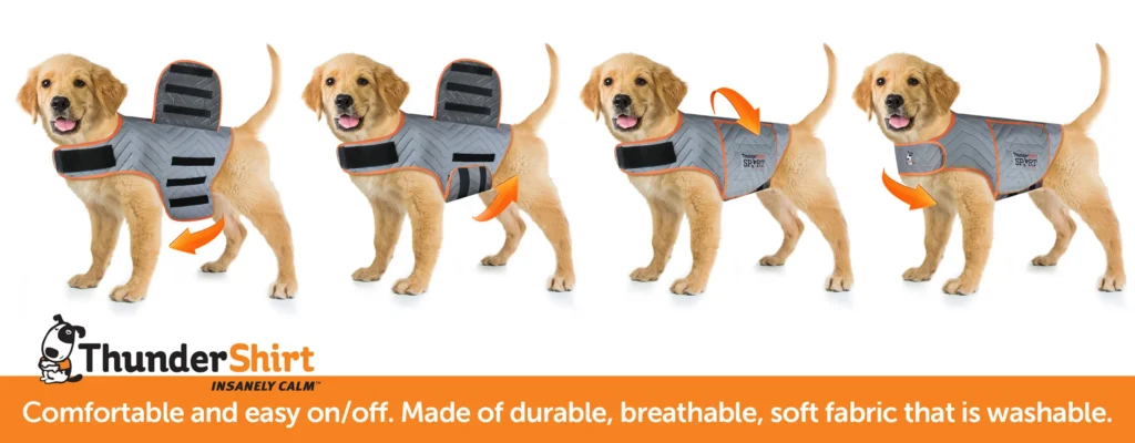 Thundershirt voor honden met angst voor vuurwerk