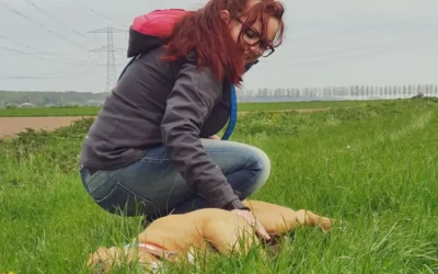 Waarom neem je een hond?