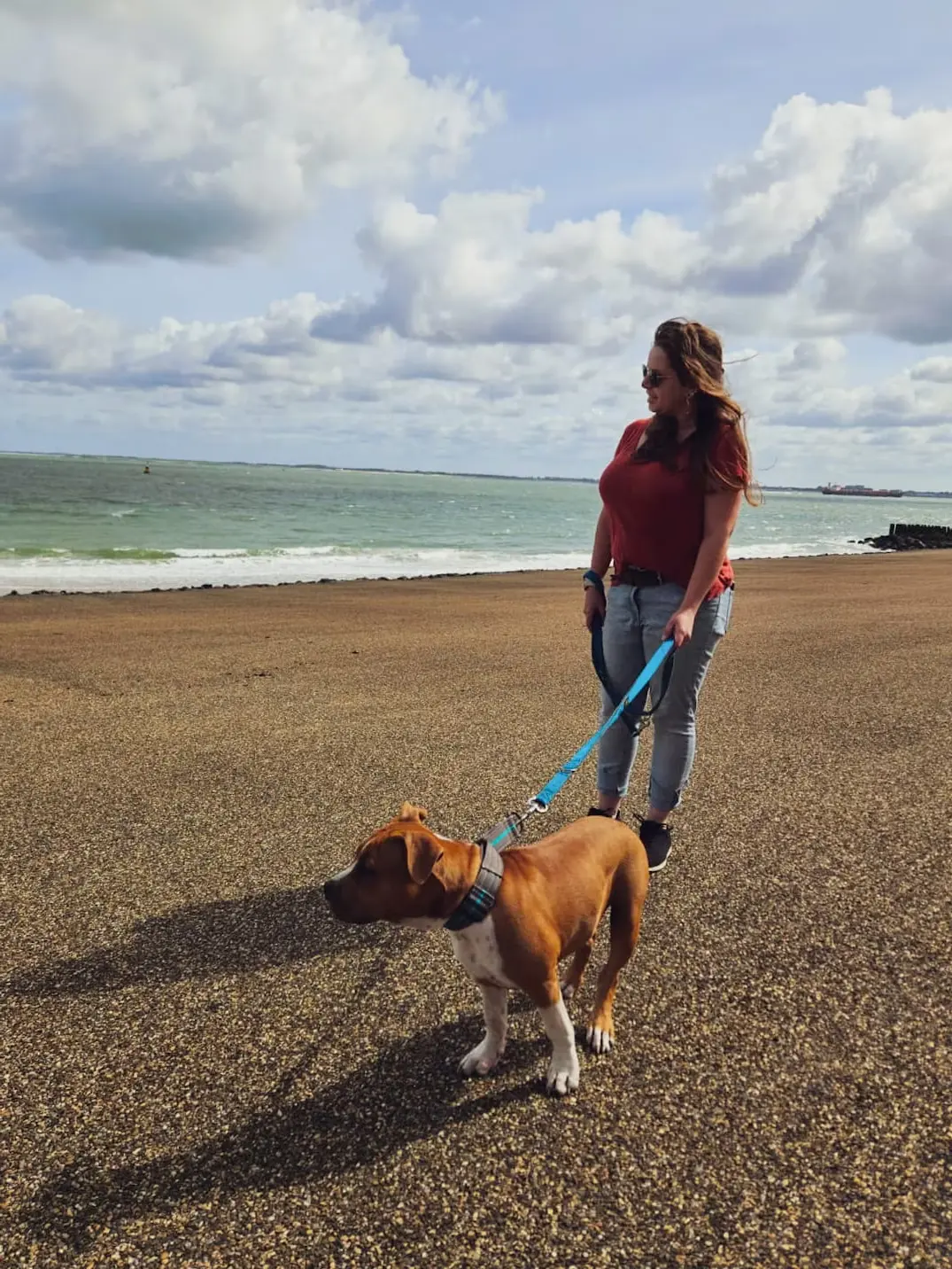 Een roze puppywolk.. Echt niet! 3 Met Am. Staff Chevy in Vlissingen bij de zee