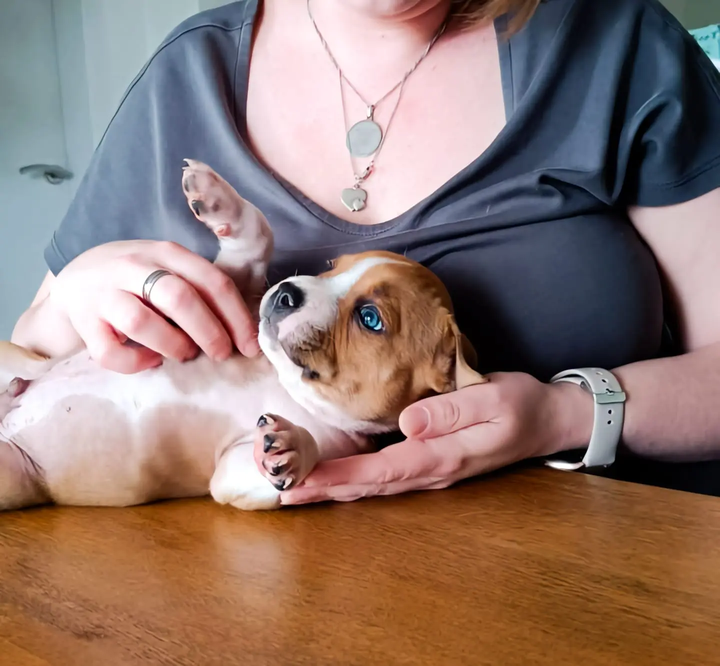 Een roze puppywolk.. Echt niet! 1 Chevy nog als kleine puppy