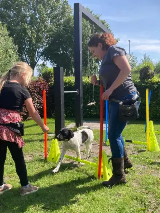Dog Dimension - Hondencursus/pubercursus aan huis
