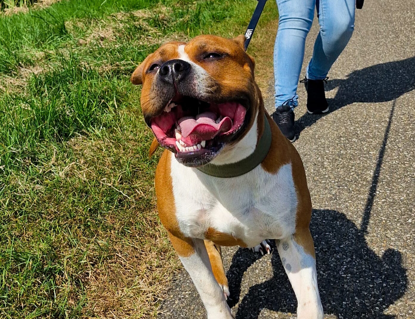 c8c77cf9-8f7e-4ad6-8fc6-90ae9bc9623b